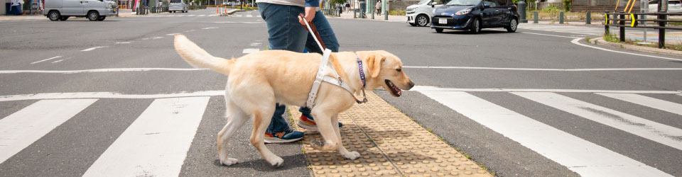 いばらき盲導犬協会